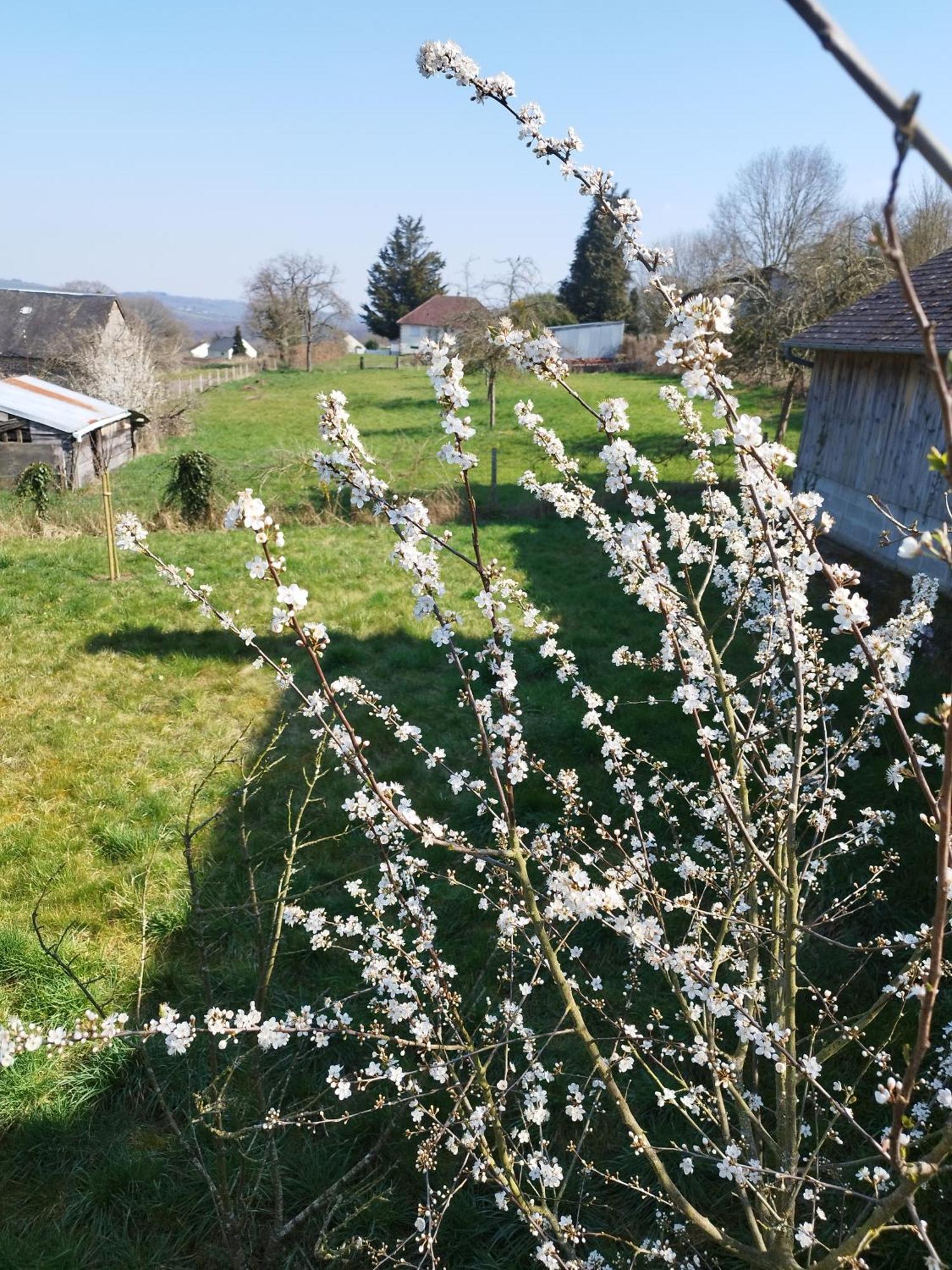 Chalet Des Roches Roche D'Oetre Suisse Normande Saint-Philbert-sur-Orne 외부 사진